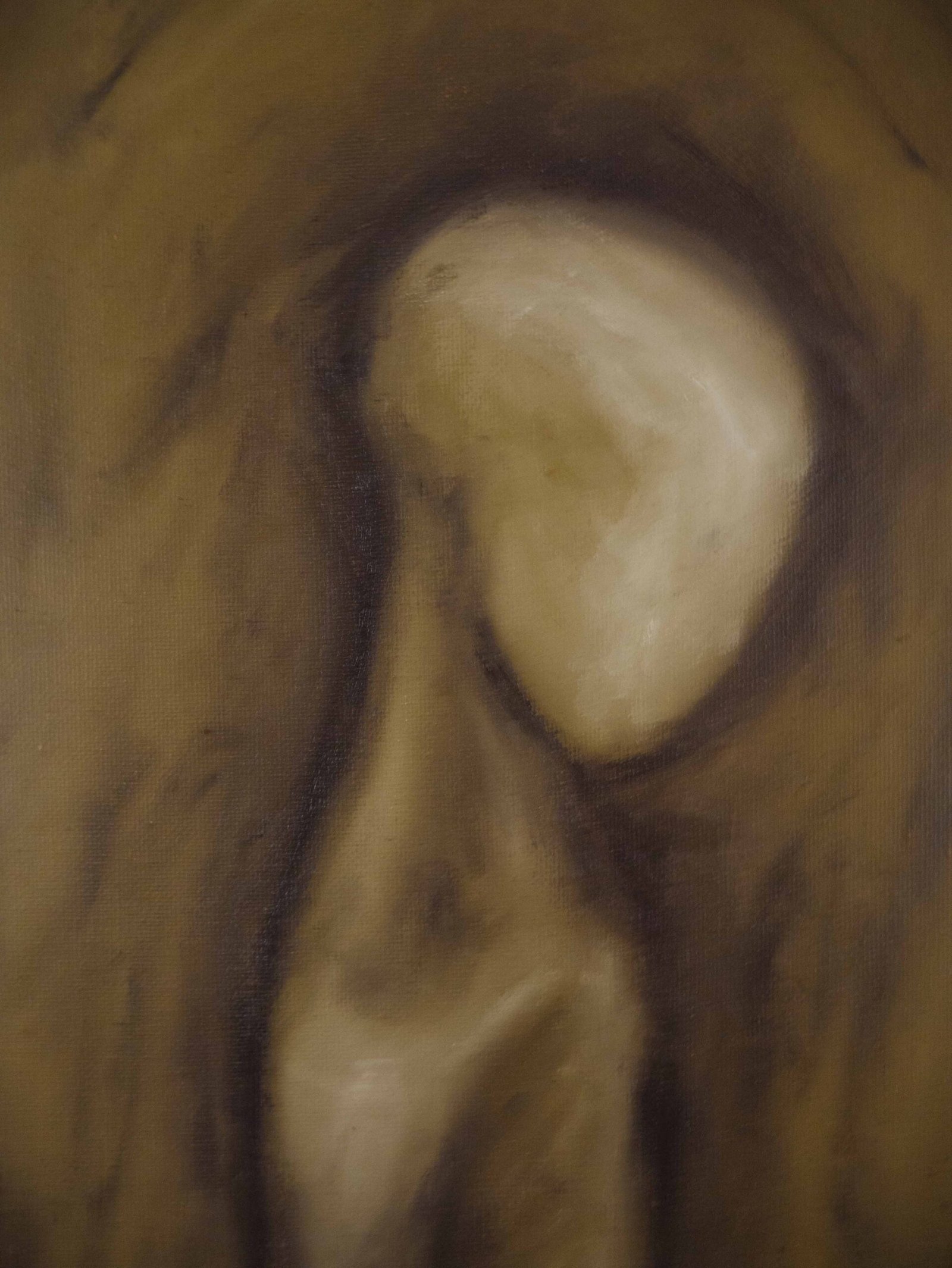 WLTN2.46_ – Image 2